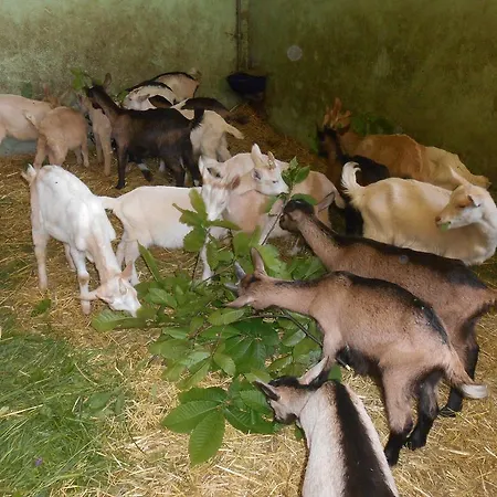 Fiorendo Séjour à la ferme Pinerol