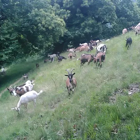 Farmház Fiorendo Pinerolo