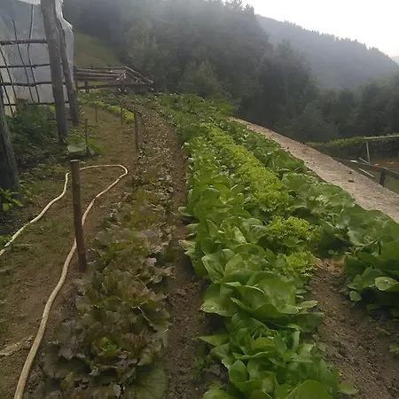 Fiorendo Farmház Pinerolo