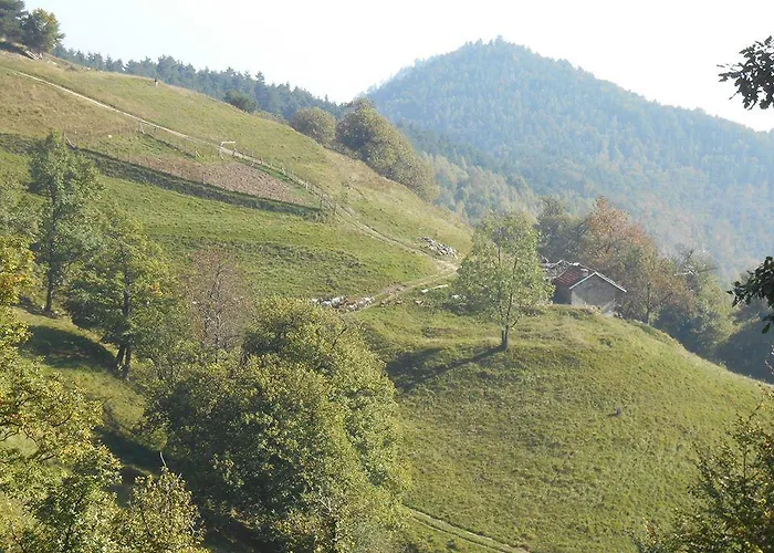 Fiorendo Gospodarstwo agroturystyczne