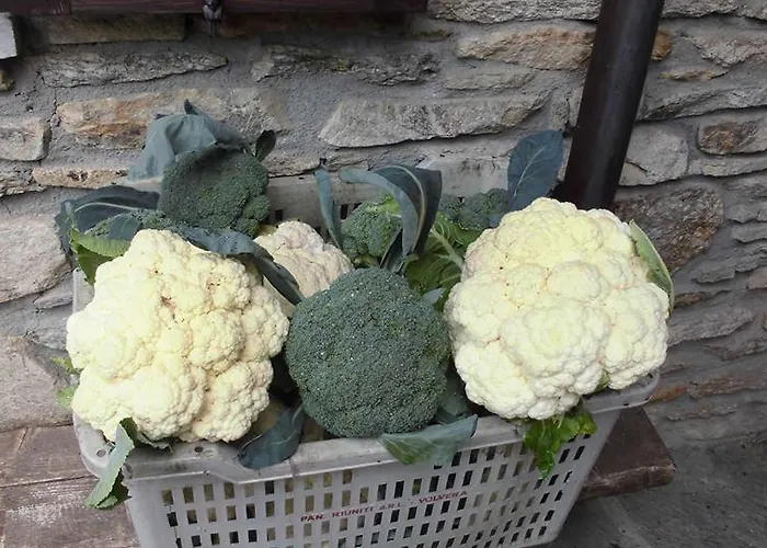 Alojamento de Turismo Rural Fiorendo