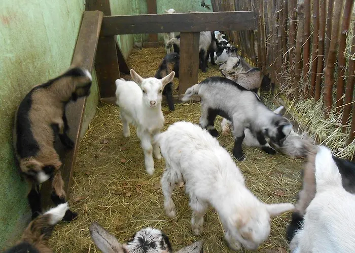 Fiorendo Gospodarstwo agroturystyczne