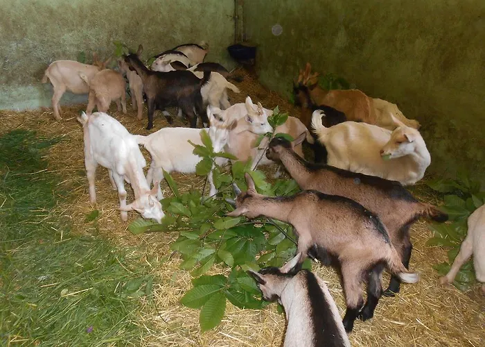 Fiorendo Gospodarstwo agroturystyczne Pinerolo