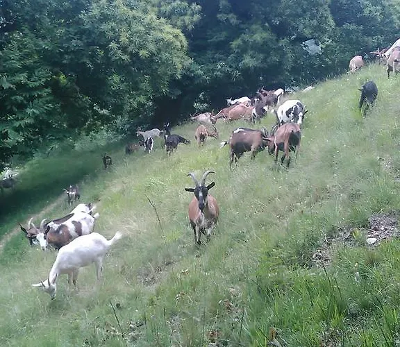 Alojamento de Turismo Rural Fiorendo Pinerolo