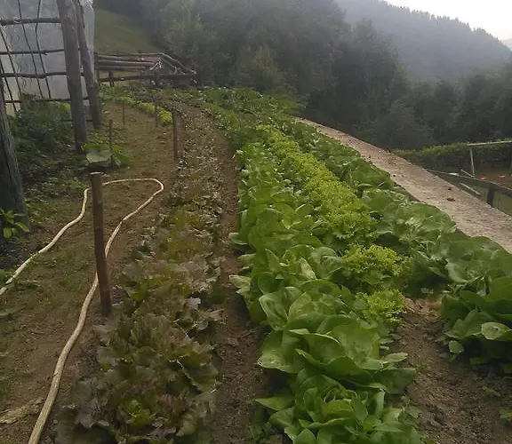 Fiorendo Alojamento de Turismo Rural Pinerolo
